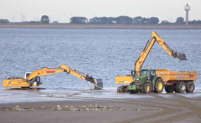 Vorig jaar werd het strand van Perkpolder ook groter gemaakt.