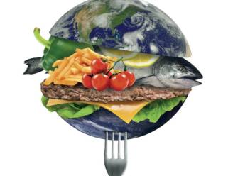 Zo redt u het klimaat (een beetje): kleine aanpassing in eetgewoontes heeft al effect