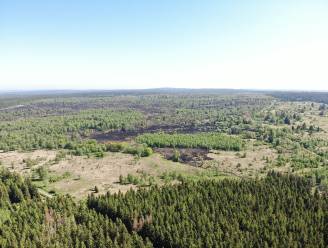 Luchtbeelden tonen verwoesting van hevige natuurbrand op Hoge Venen