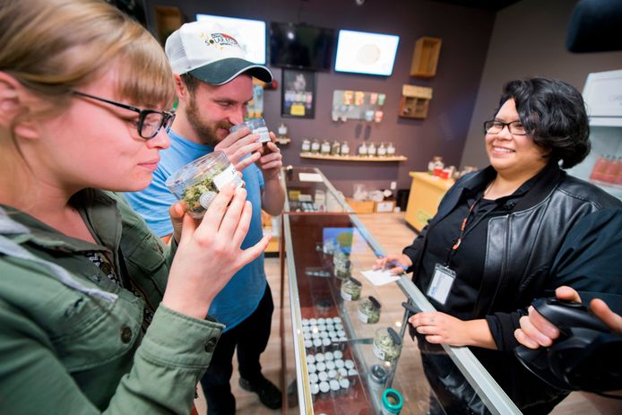 Toeristen ruiken aan de cannabisplantjes in de Green Pearl Organics winkel in Desert Hot Springs.