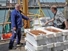 Natuurmonumenten wil duidelijkheid over vergunningen garnalenvisserij
