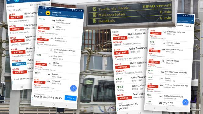 Buschauf­feurs zien ene na de andere lijn uitvallen op de Veluwe: 'Deze week is het echt droevig’