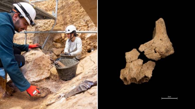 Fossiel gezicht van oudste mens gevonden in Spanje