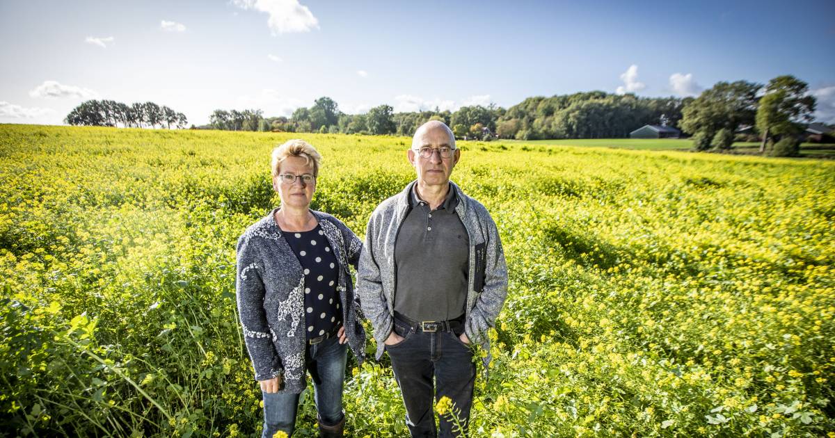 LTO-bestuurder Carla Evers stapt op uit onvrede over beleid bij boerenorganisatie: ‘Ik word hier nie