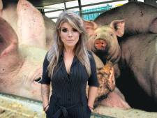 Dierendoordouwerij stoppen? Langzamer slachten