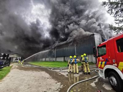 165.000 poulets périssent dans un incendie à Saint-Nicolas-Waes