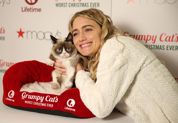 Grumpy Cat Le Chat Le Plus Riche Du Monde Insolite 7sur7 Be