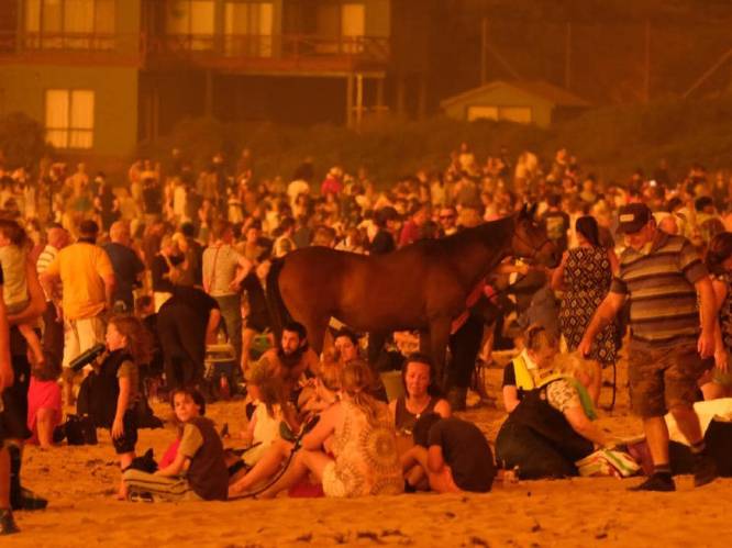 Vuurzee in Australië verandert van richting, duizenden mensen op strand ontsnappen: "We konden nergens heen”
