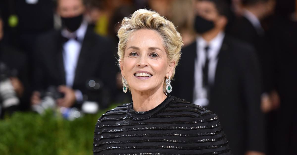 Ex detenuto, tossicodipendente: Su Tinder, Sharon Stone ha una serie di (brutti) incontri |  la gente