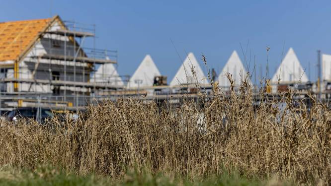 Onrust rond stikstof-impasse in Brabant: ‘Niemand weet waar hij aan toe is’