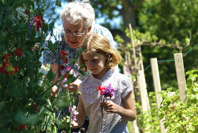 In de proeftuin moeten ouderen én jongeren meer over de natuur kunnen leren.