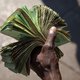 De Zimbabwaanse dollar is terug – wat zegt dat?