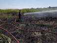 100 vierkante meter vegetatie weggebrand door droogte
