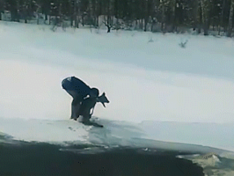 Bambi zakt door ijs maar wordt gered door 'ijsbeer'