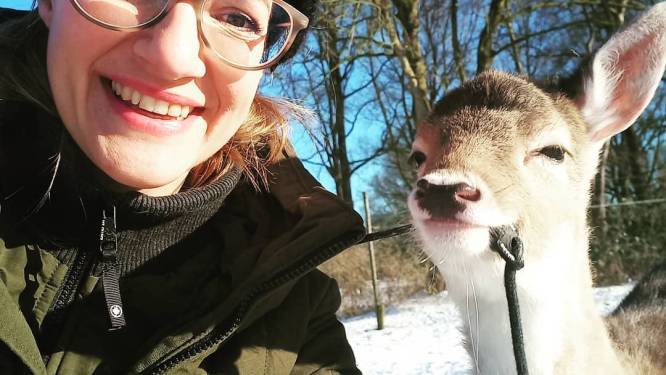 Hertjes mogen niet meer op de kinderboerderij, maar kameel wel: ‘Wel een beetje bizar’