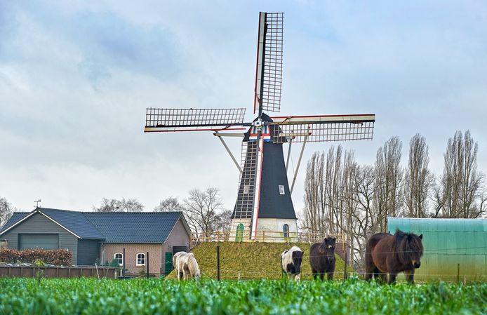 Molen De Hoop in Keldonk behoort tot de 5 mooiste plekken van Meierijstad. Deze locatie werd ingezonden door Frans Kuijpers. ,,De betekenis van dit monument reikt verder dan de stenen alleen."