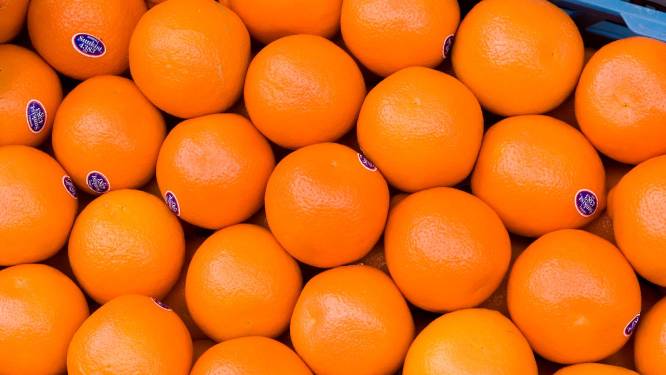 Sinaasappels op de weg op zes plekken in Limburg: ‘Alle schijn van gecoördineerde actie’