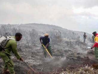 Brand op Kilimanjaro na vijf dagen onder controle
