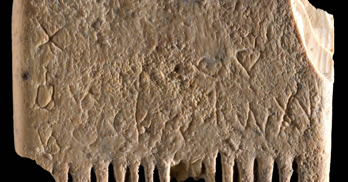 Открытие древнейшего письменного предложения на гребне от вшей, датируемого 3700 годами |  наук