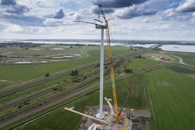 Groen als wisselgeld voor windmolens: iedereen z’n eigen boom of een gemeenschapsbos?