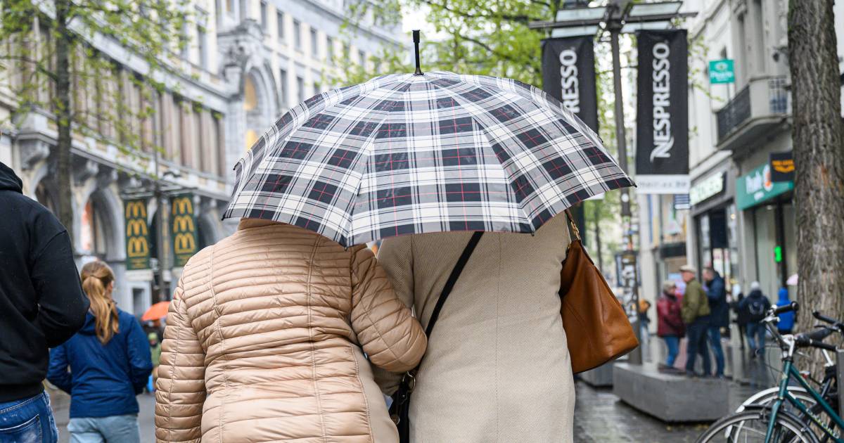 Weather report.  Rainy, fresh and windy beginning of the week, with temperatures reaching 13 degrees |  Weather News