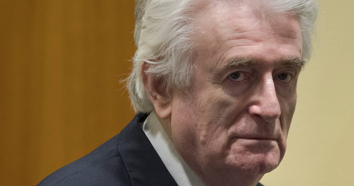 Karadzic to serve life sentence for Srebrenica genocide in Great Britain |  Overseas