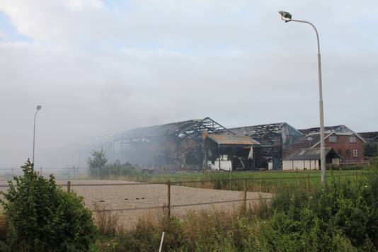 De dag na de grote brand in de stallen van De Knorhof in Erichem.