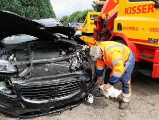 Wagen met vervalste nummerplaat crasht op E313, inzittenden vluchten weg