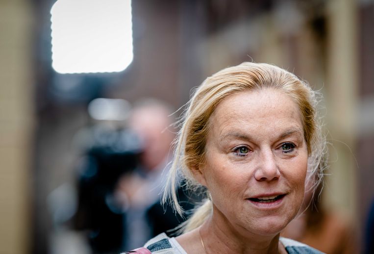 Kaag stopt als minister van Buitenlandse Handel, Van 't ...