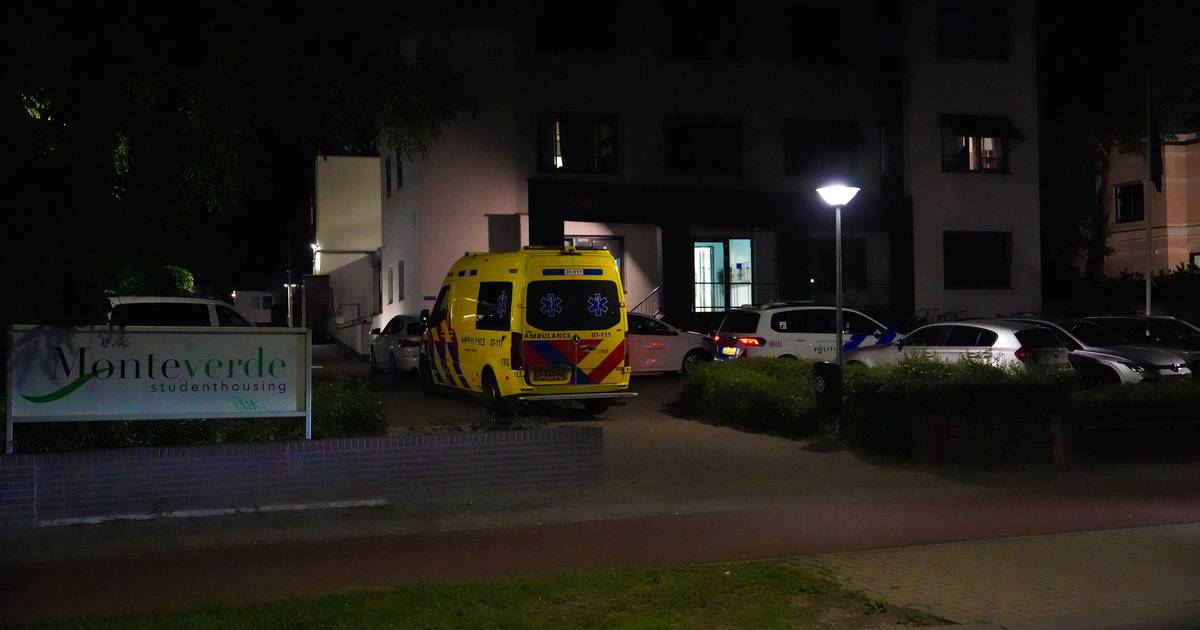 Gewonde bij vechtpartij op AZC-terrein in Velp | Rheden | gelderlander.nl