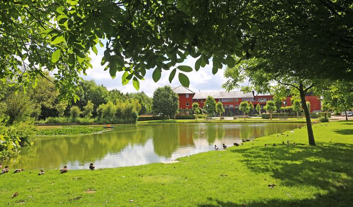 Het Lijsterbespark is de prachtige locatie voor de vertelwandeling.
