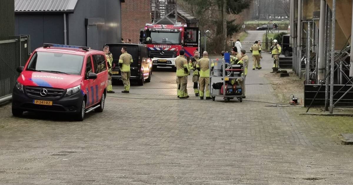 Merendeel ‘dode’ varkens Rhenen blijkt slechts bewusteloos na uitvallen ventilatie, 39 overleden