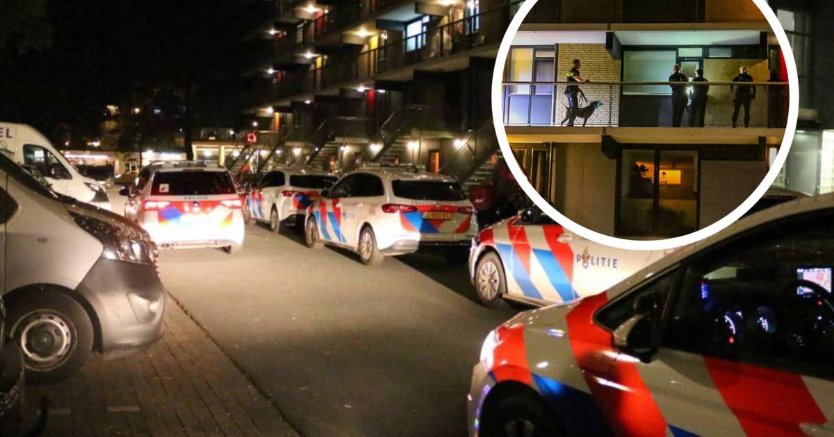 Police Officer Raid Apartment in Apeldoorn with Bulletproof Vests and Dogs