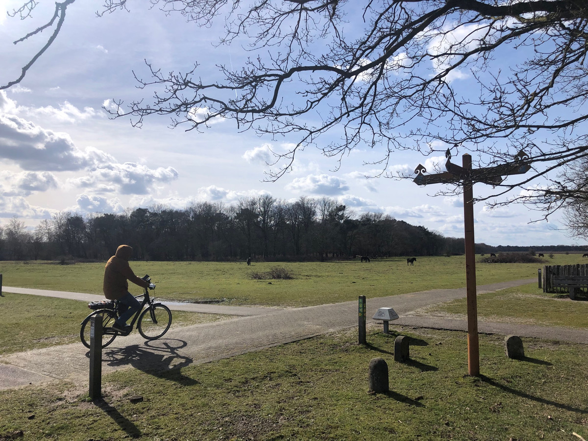 Fietspaden in natuurgebied de Maashorst worden breder, maar halfverhard ...