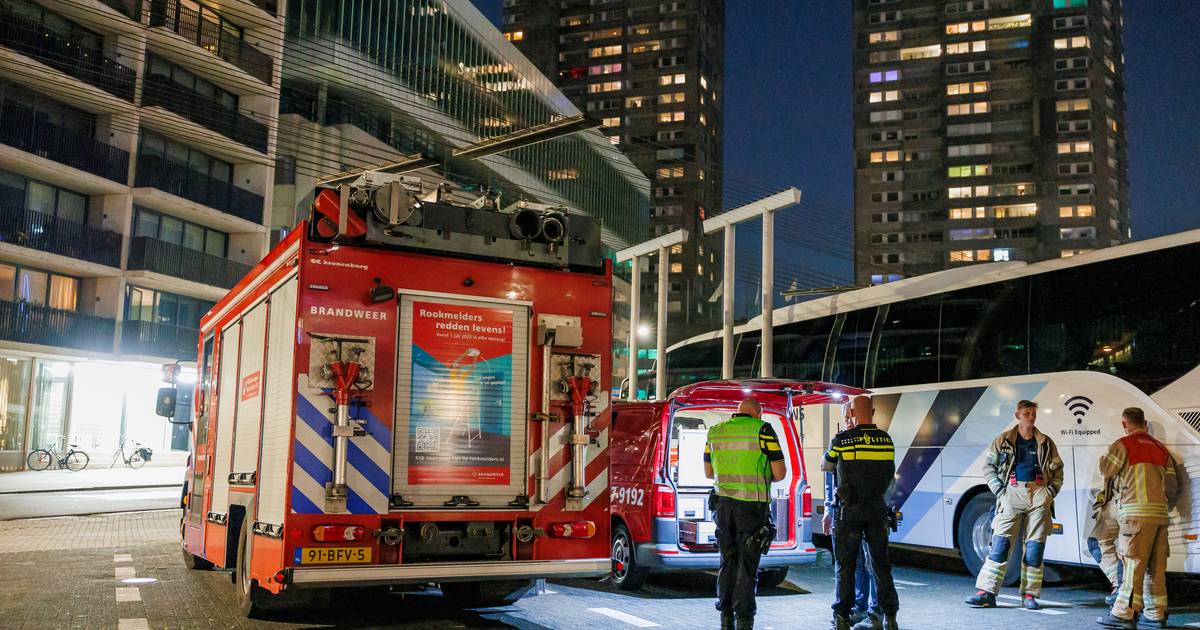 ‘Aucun danger d’effondrement’ Willemstoren après que les habitants pensent ressentir un ‘tremblement de terre’ |  Rotterdam