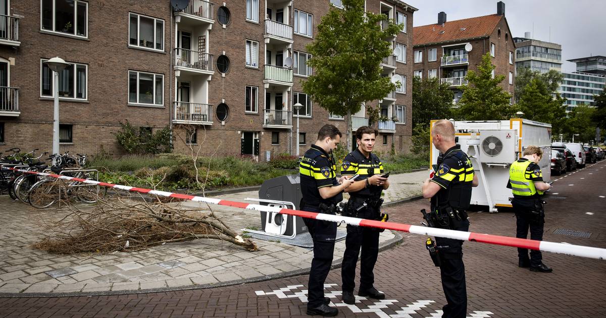 Verdachte dodelijke steekpartij Robert Scottstraat in AmsterdamWest wordt onderzocht in Pieter