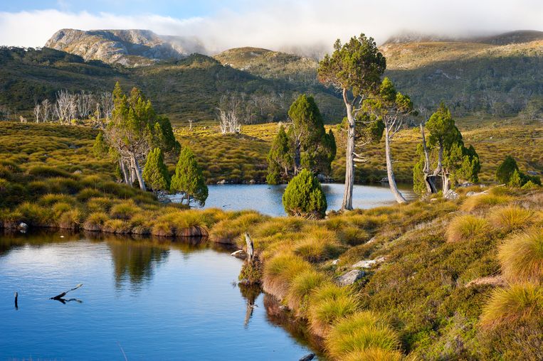 Cradle Mountain National Park op het ontzettend mooie Tasmanië. Beeld Alamy Stock Photo