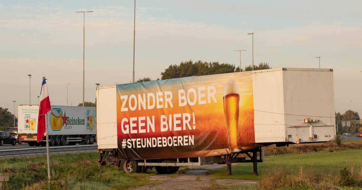 Boeren kritisch op reactie kabinet na rapport-Remkes: 'Beoordelen op daden, niet op goede intenties'