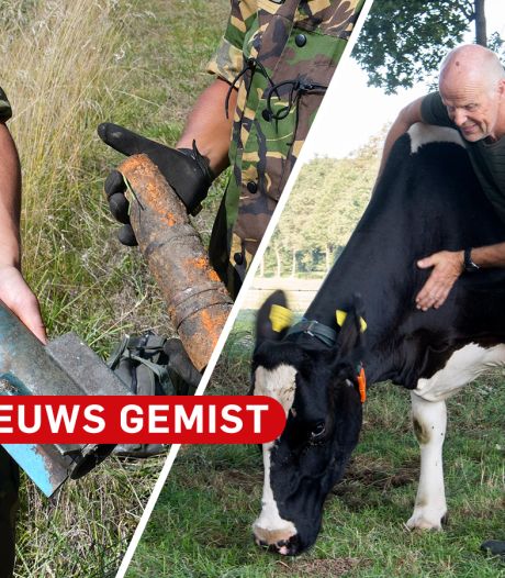 Gemist? Explosieven opgevist uit Lonnekermeertje & André uit Vasse in actie voor gewonde koe Marijke