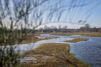 Met de kano vogels bekijken langs de Doorbraak in Bornerbroek