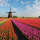 10 maffe Nederlandse tradities waar ze in andere landen niets van snappen