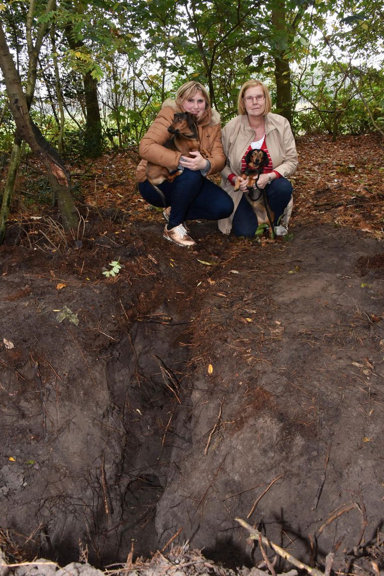 Brandweer redt hond uit konijnenpijp | Retie | Regio | HLN