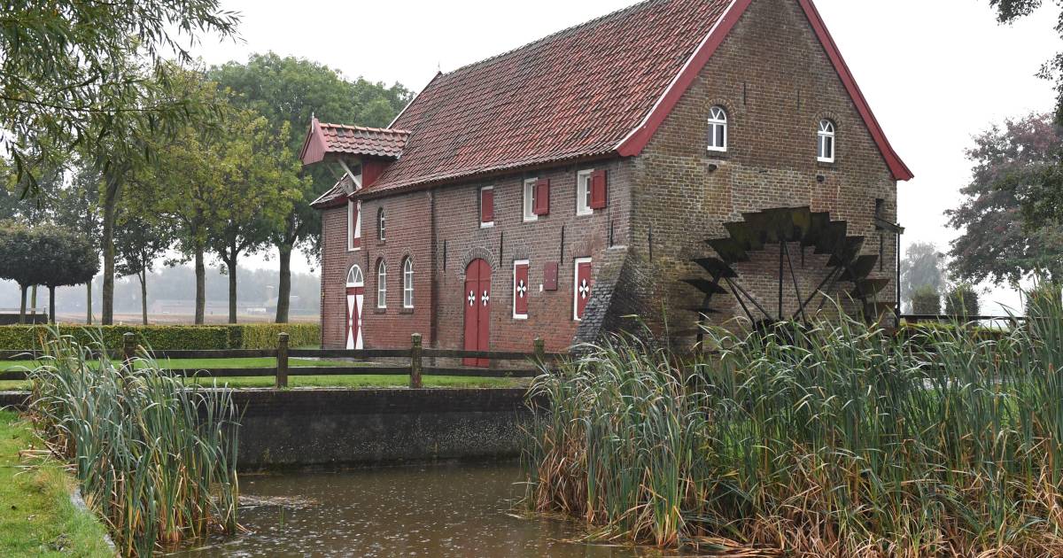 Koeien maken plaats voor huizen tegenover watermolen van Oploo