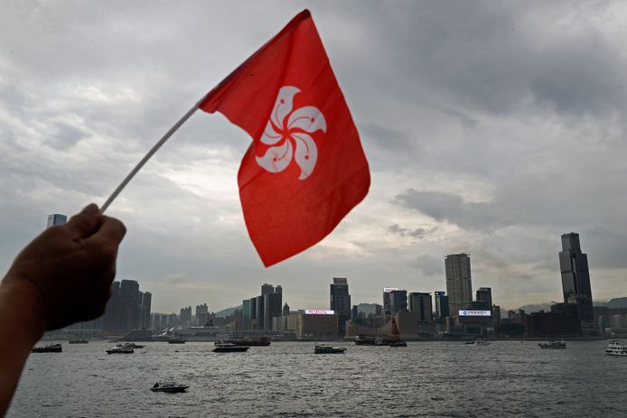 De vlag van Hongkong met op de achtergrond de haven.