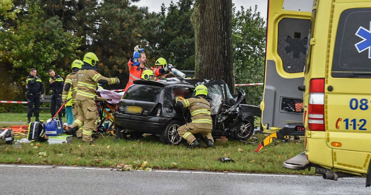 Zwaargewonde door frontale botsing tegen boom in Bemmel.