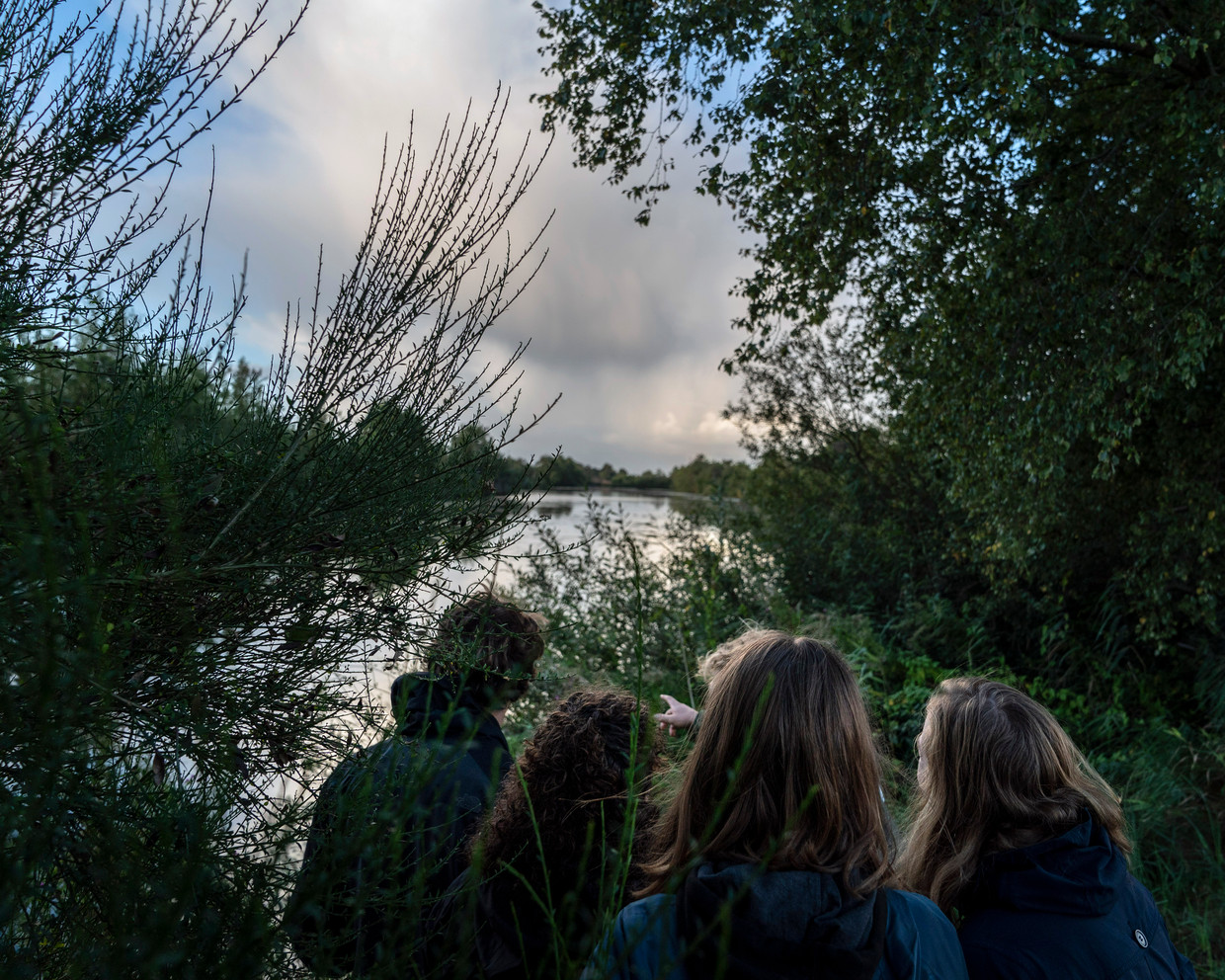Op zoek naar otters in de Weerribben Wieden. 