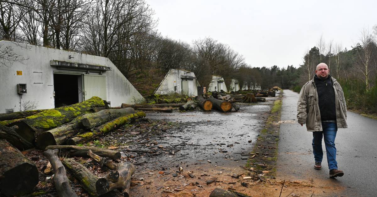 Voormalig defensieterrein heeft nieuwe eigenaar: omliggend bos opgeknapt en gebruikt voor CO2-compen