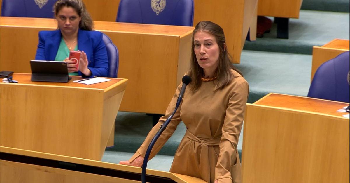 Kamerlid uit hartenkreet over uitvallen meerdere collega’s: ‘Dit is topje van de ijsberg’