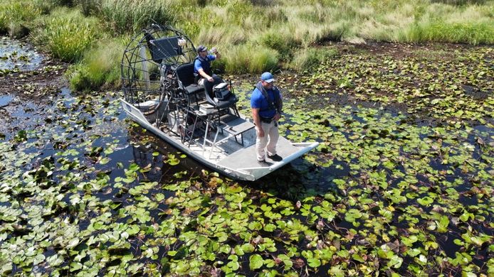 De politie is weken op zoek geweest naar de alligator die de man zou hebben meegenomen.