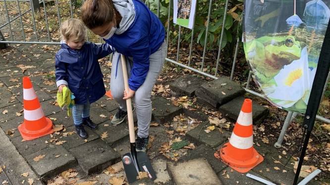 Gemeente wil Vlaams kampioenschap ‘tegelwippen’ winnen